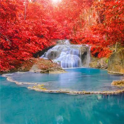 盈彩网下载手机版