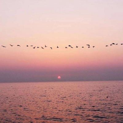 盈彩网下载手机版