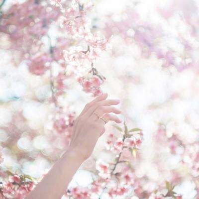 一分钟彩票极速赛车